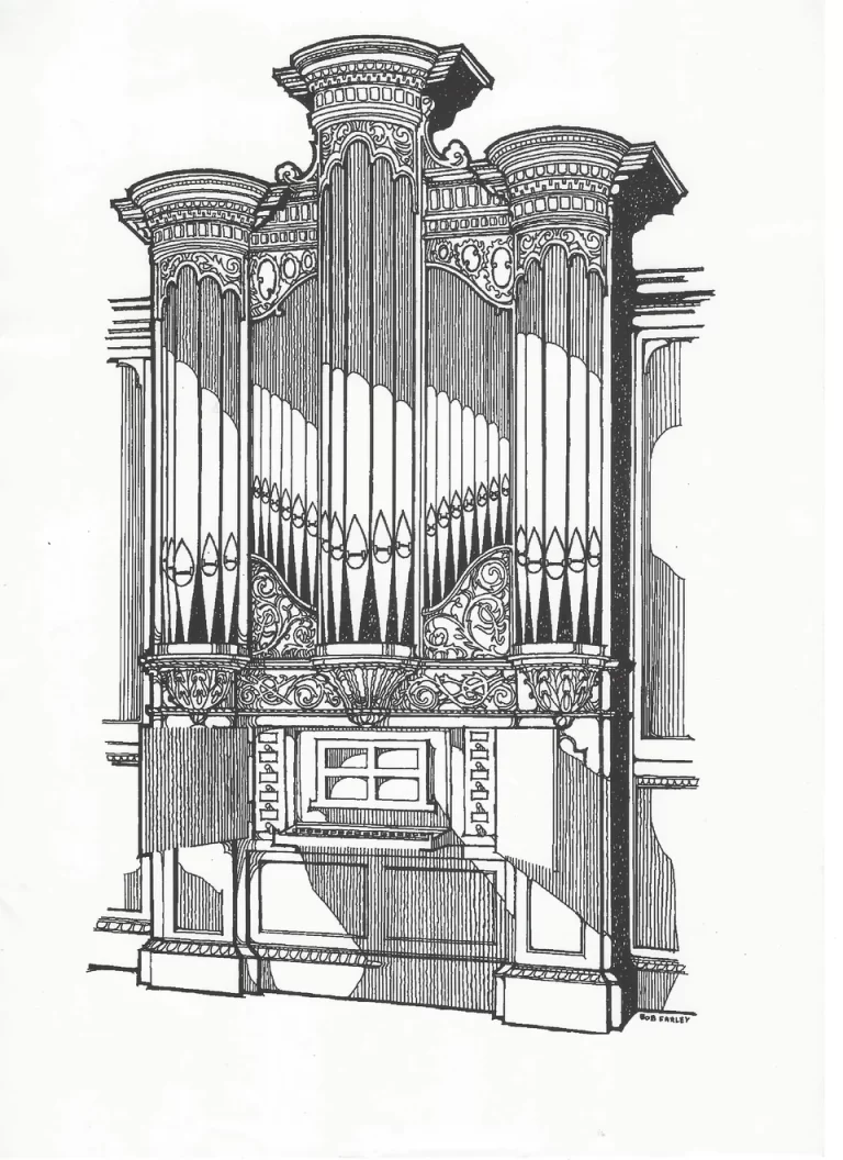 Рисунок органа