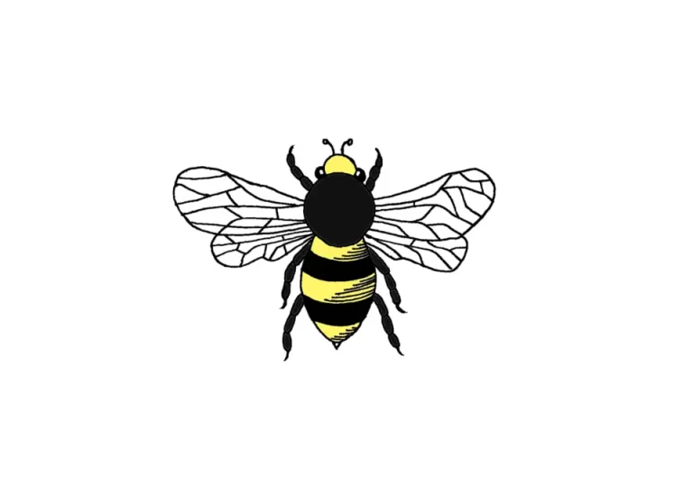 Пчела: Фото, Рисунок И Удивительный Мир Этого Насекомого