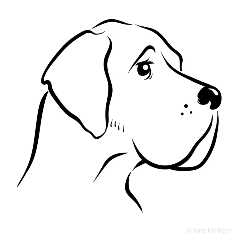 Забавный Рисунок Собаки: Простота И Очарование В Одном