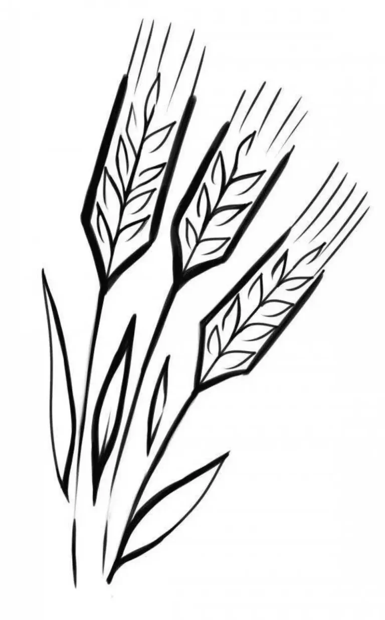 Трафарет колосок пшеницы