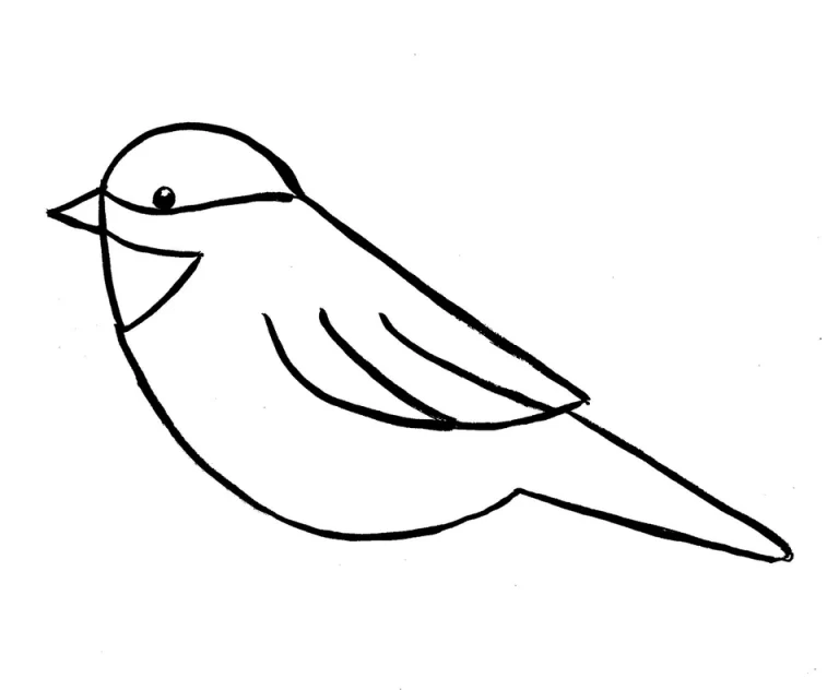 Детский Рисунок Птицы Карандашом: Творчество С Радостью