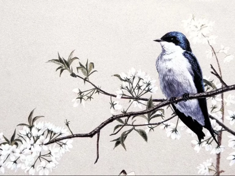 Птичка На Ветке: Рисунок Для Детей И Вдохновение