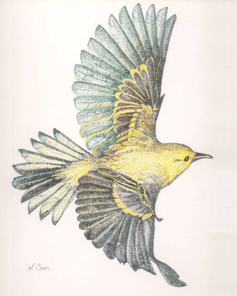 Летящая Птица: Рисунок Для Детей, Вдохновляющий На Свободу