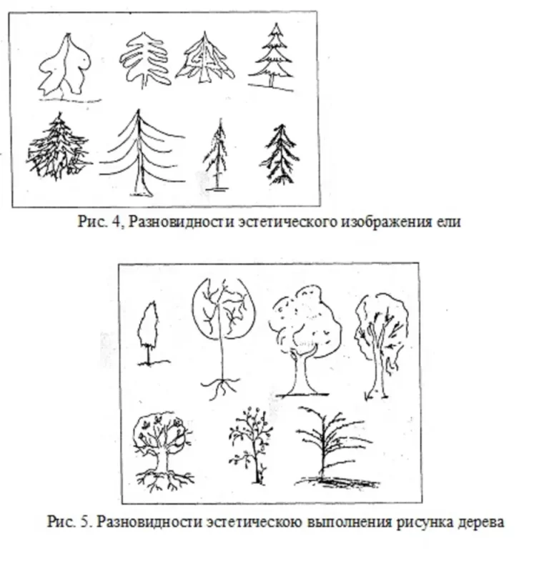 Методика рисования дерева
