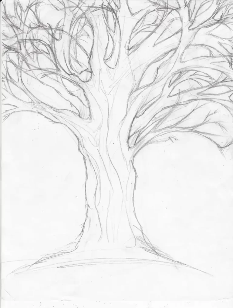 Пошаговая Инструкция: Как Нарисовать Дерево С Нуля
