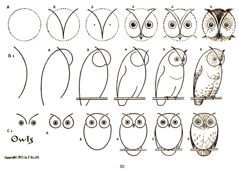Рисуем сову поэтапно для детей