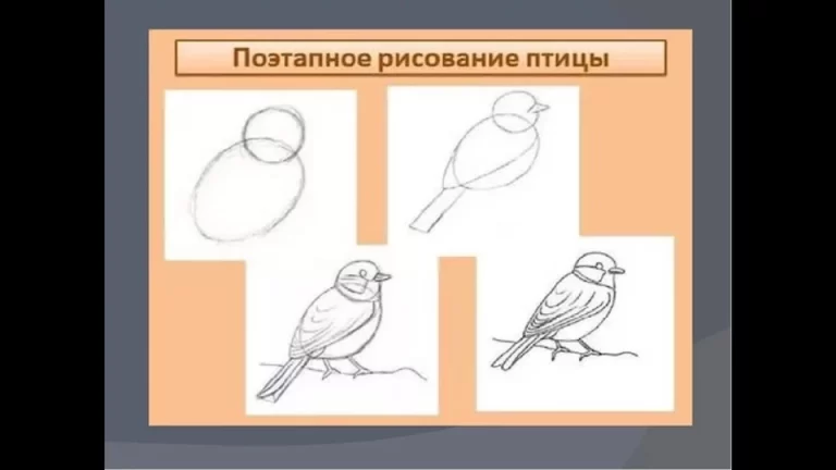 Изо 1 Класс: Рисунки В Школе России