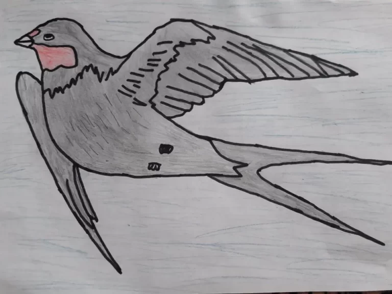 Увлекательные Рисунки Перелетных Птиц: Вдохновение Для Детей