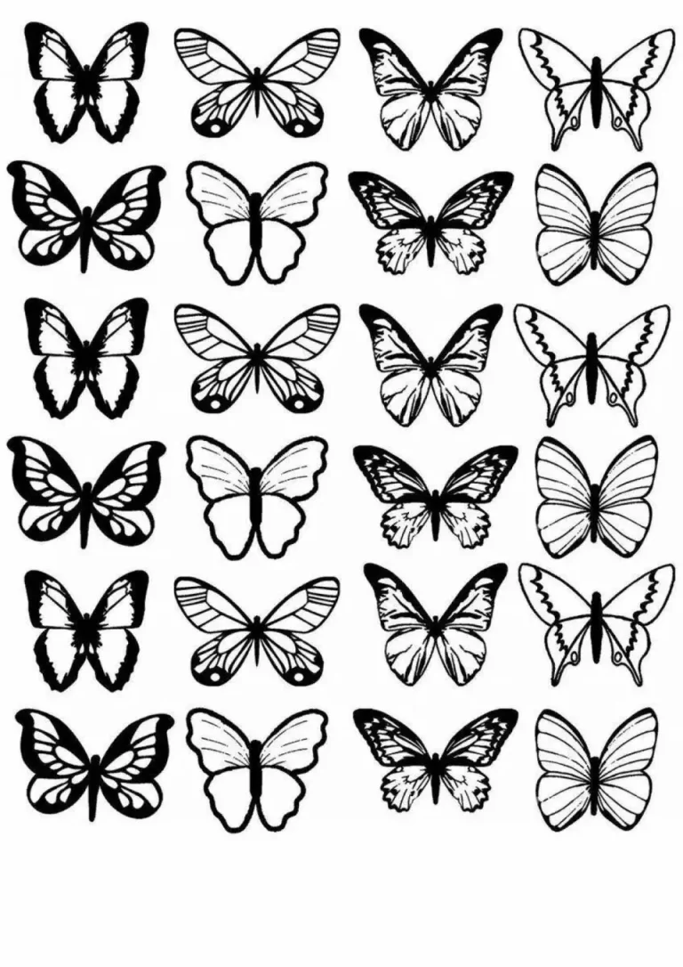 Бабочки: Рисунок Для Распечатки И Творчества