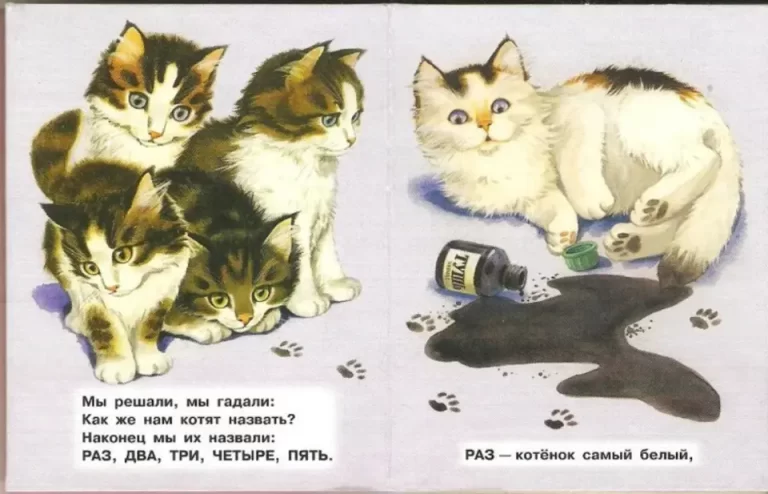 Котята Михалков: Поразительные Рисунки И Их Волшебство