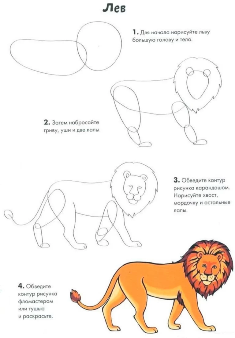 Пошаговая Инструкция: Как Нарисовать Льва Для Детей