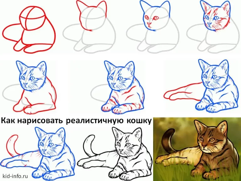 Кошка поэтапно