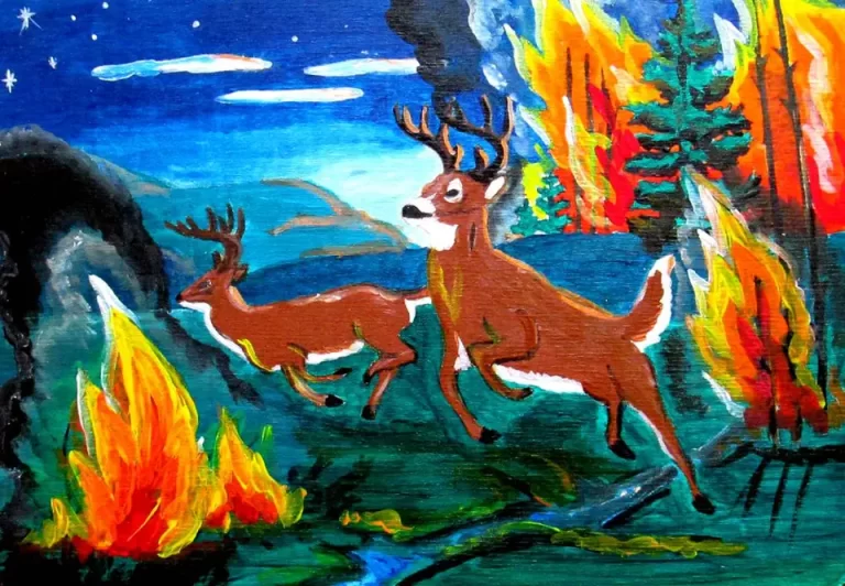 Огненные Рисунки: Непокорный Лес В Опасности