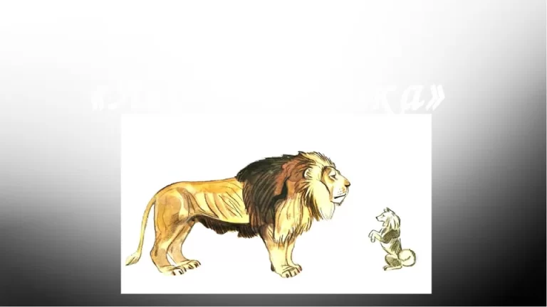 Увлекательные Рисунки Льва И Собачки Для Детей 3 Класса