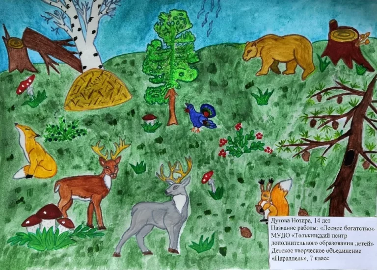 Вдохновляющие Рисунки, Посвященные Лесной Тематике: Волшебство Природы В Каждой Линии