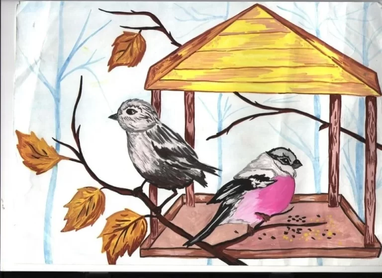 Рисование кормушка для птиц старшая группа