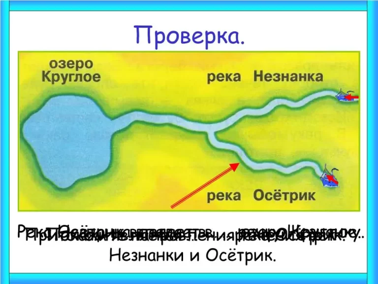 Река составные части реки