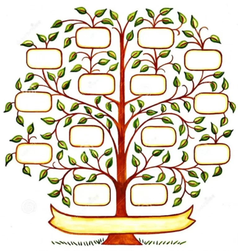Родословное дерево рисунок