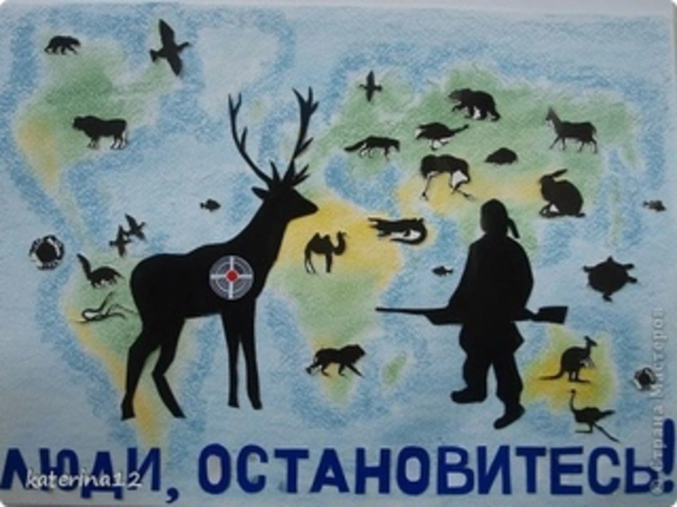 Плакат защитим животных
