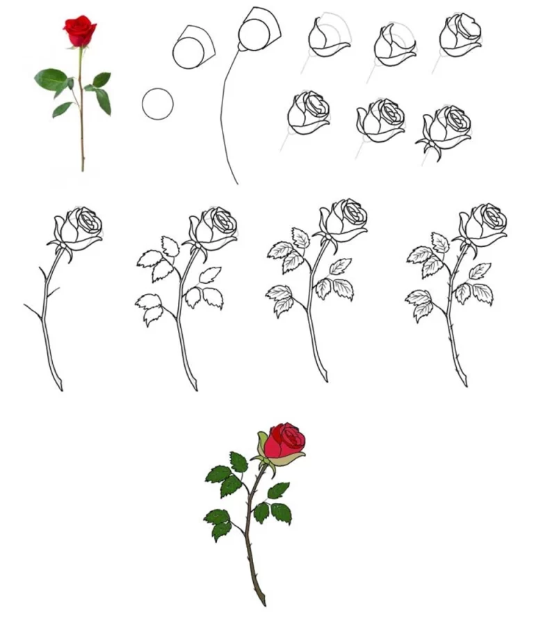 Искусство В Цветах: Красивый Рисунок Розы Вдохновляет