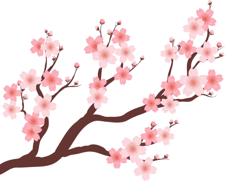 Розовое дерево сакура