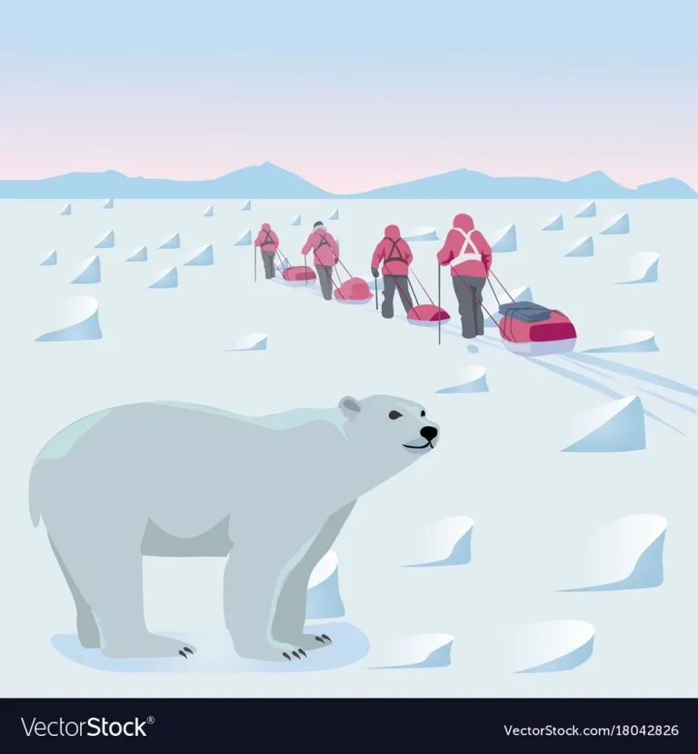 Северный полюс