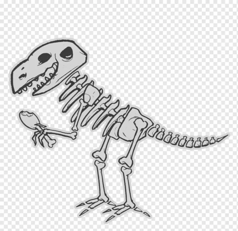Впечатляющий Рисунок Скелета Динозавра: Удивительное Открытие Истории Жизни
