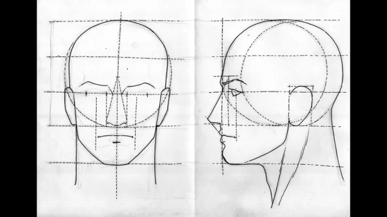 Схема построения лица человека для рисования