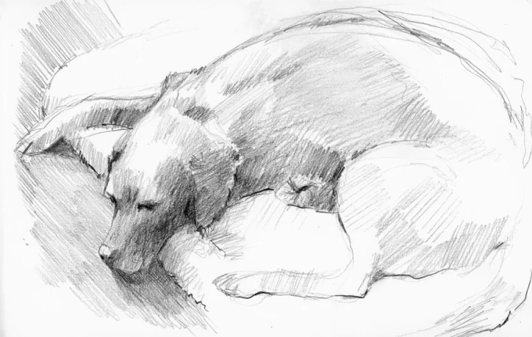 Собака Лежит: Рисунок Карандашом Впечатляет Своей Художественностью