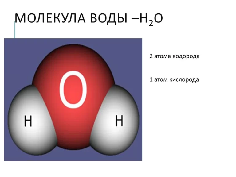 Молекула воды