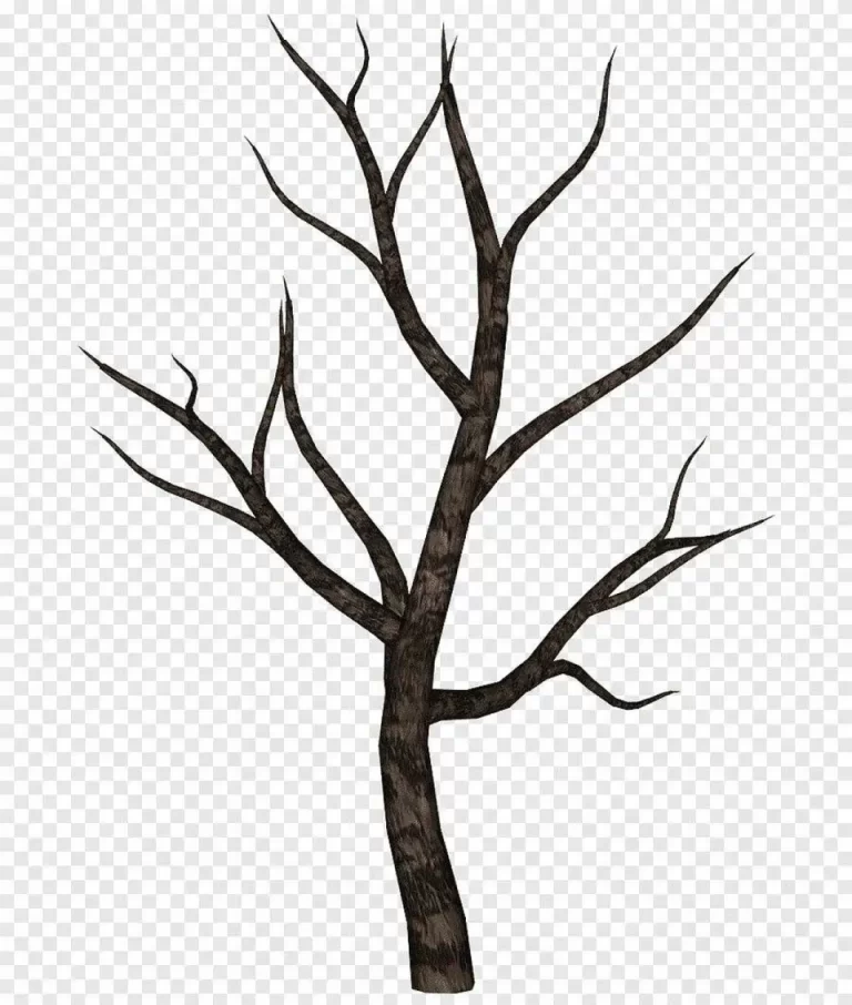Искусство Природы: Как Нарисовать Лиственное Дерево В Несколько Шагов