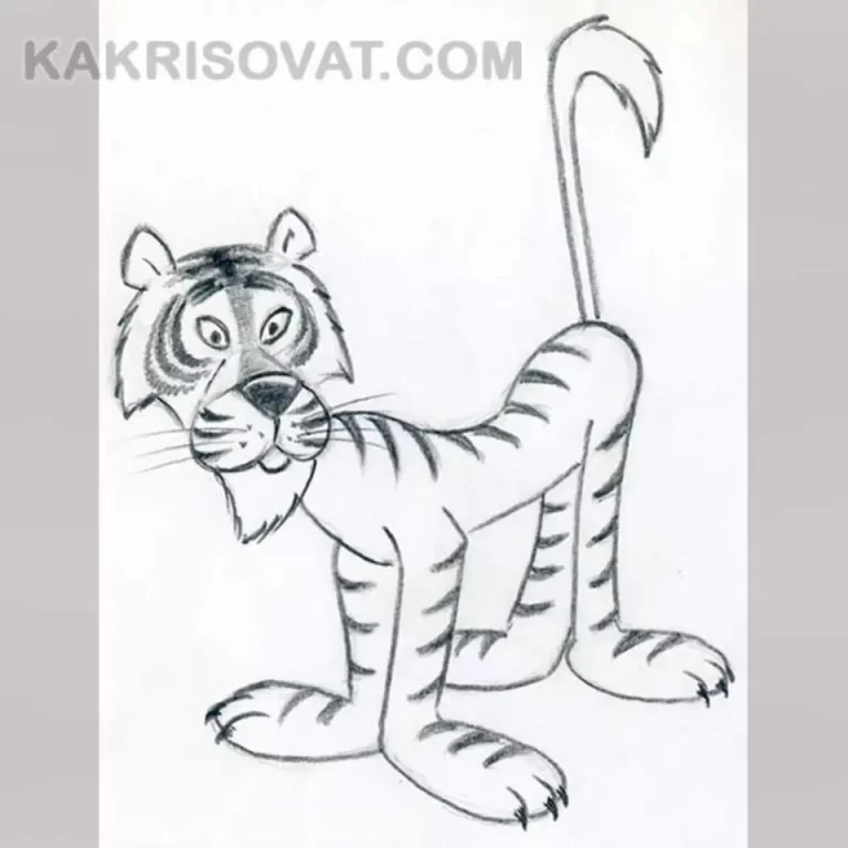 Рисунок тигренка карандашом для детей