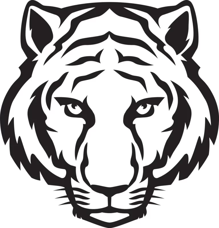 Загадочный Тигр: Контурный Рисунок, Который Оживает На Странице