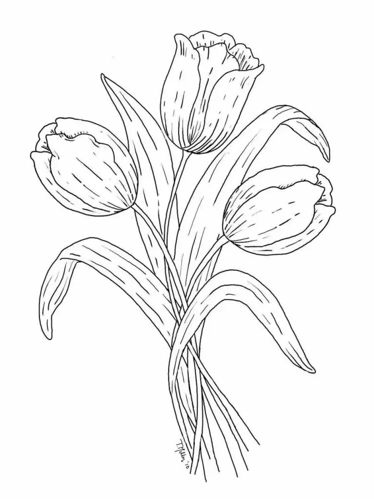 Легкий Рисунок Тюльпана Карандашом Для Срисовки: Простые Шаги