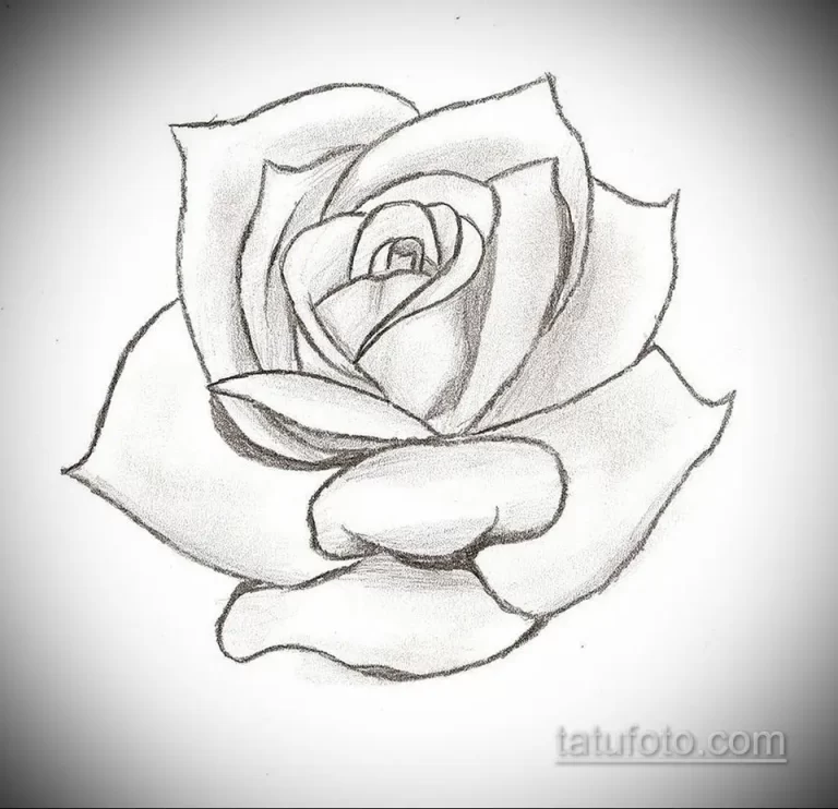 Искусство Воплотить Цветок Розы Карандашом: Вдохновение И Техника