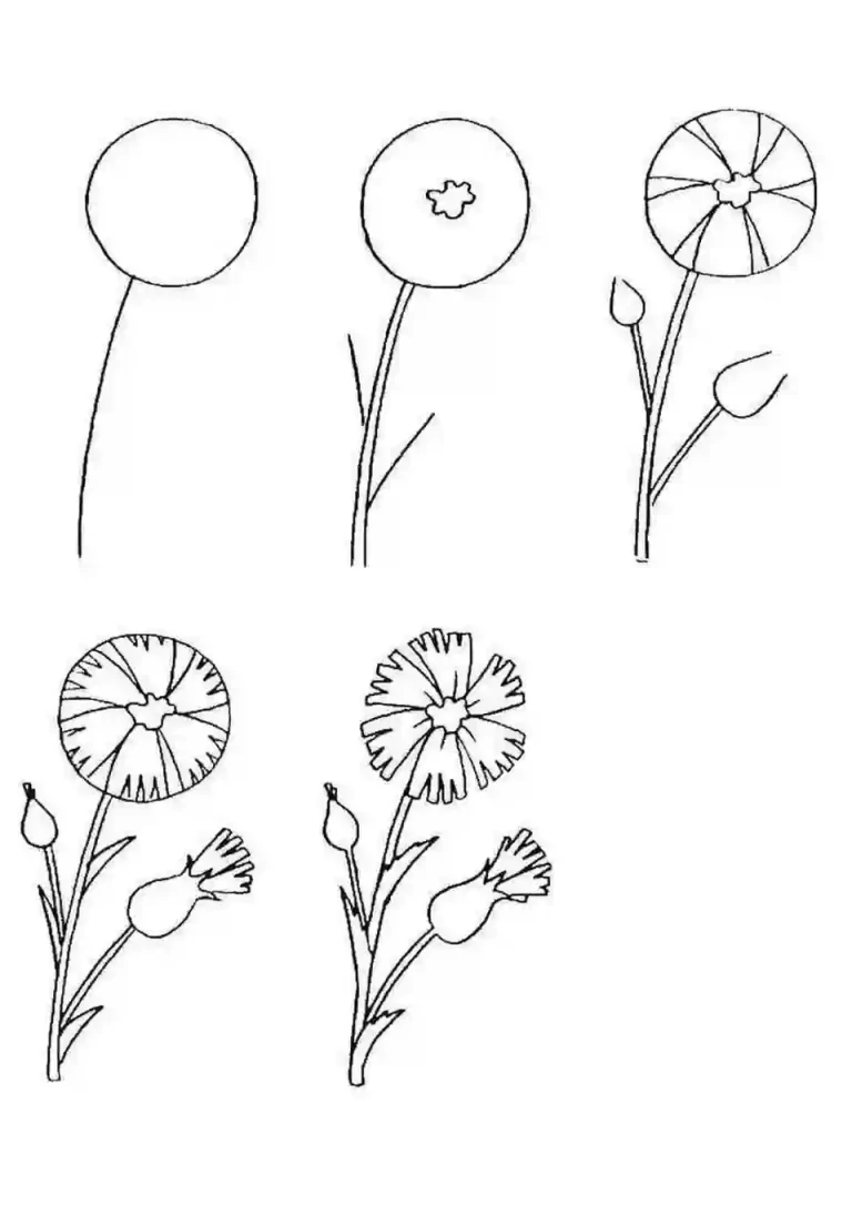Рисуем цветок поэтапно для детей
