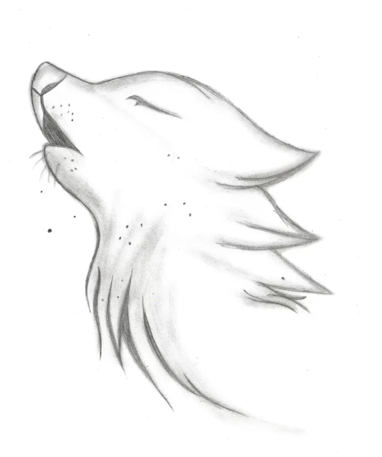 Волк В Рисунке Карандашом: Идеальный Образец Для Срисовки