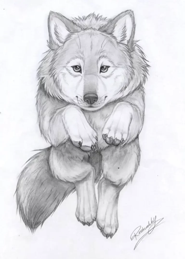 Пошаговая Инструкция: Как Нарисовать Сидящего Волка