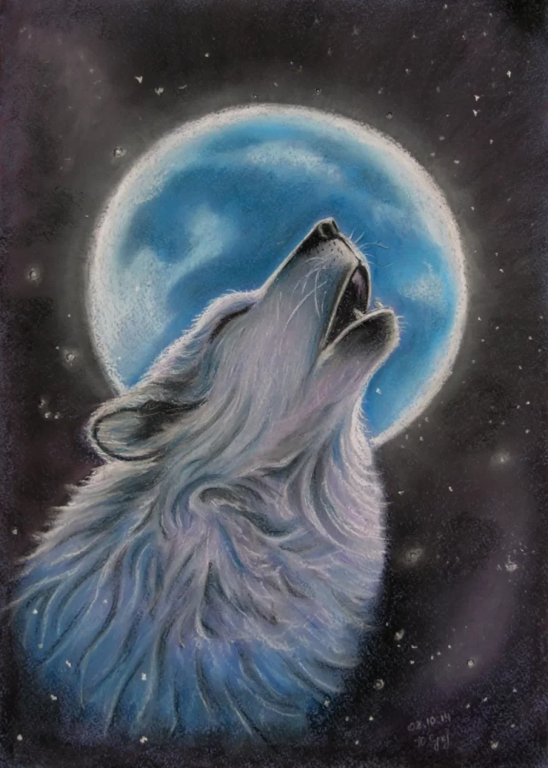 Впечатляющий Рисунок Воющего Волка: Воплощение Силы И Красоты