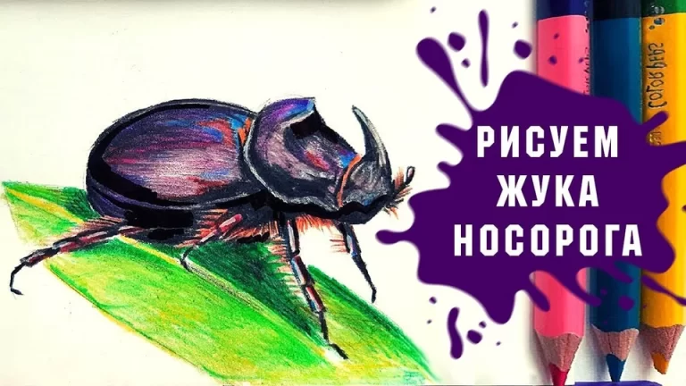 Веселый Жук-Носорог: Увлекательные Рисунки Для Детей