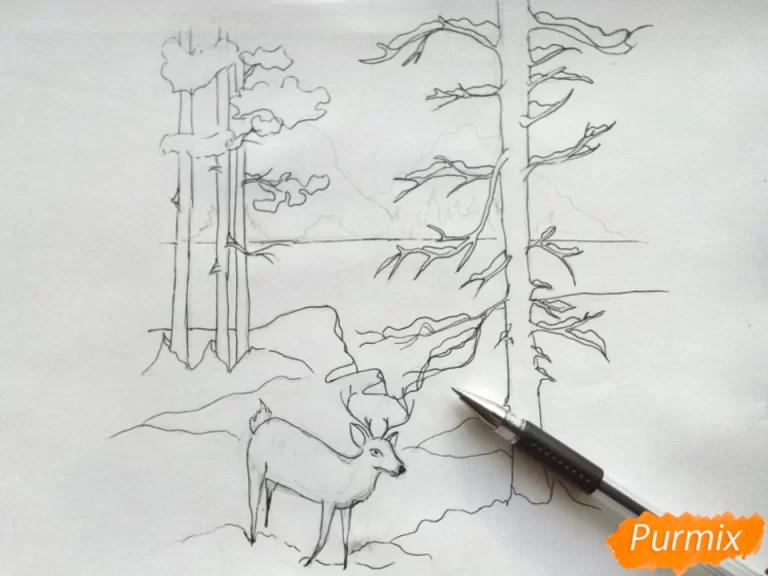 Рисунок леса карандашом